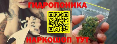 ПСИЛОЦИБИНОВЫЕ ГРИБЫ Нарткала