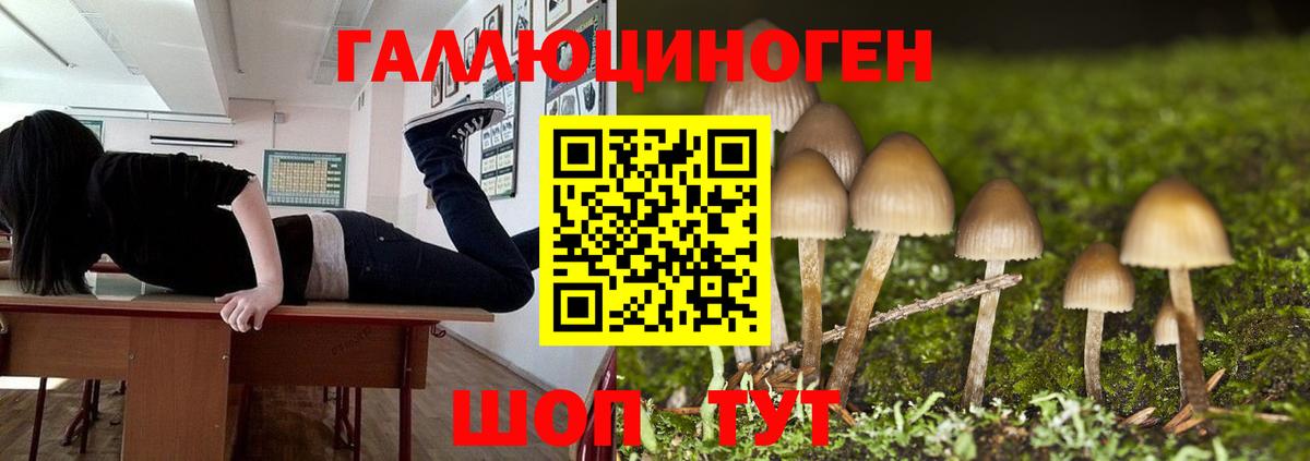 Галлюциногенные грибы Cubensis Советск