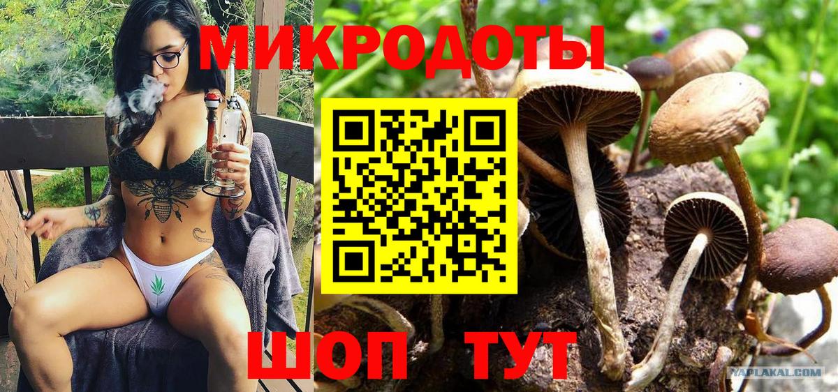 Советск  Галлюциногенные грибы GOLDEN TEACHER  Вход с VPN  Галлюциногенные грибы мицелий 